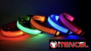 COLLAR CORREA PARA PERRO CON LUZ LED SEGURIDAD PARA PASEO NOCTURNO.