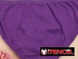 Ropa interior complementaria para el período blumer