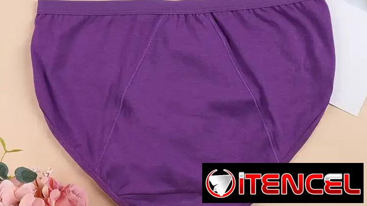 Ropa interior complementaria para el período blumer