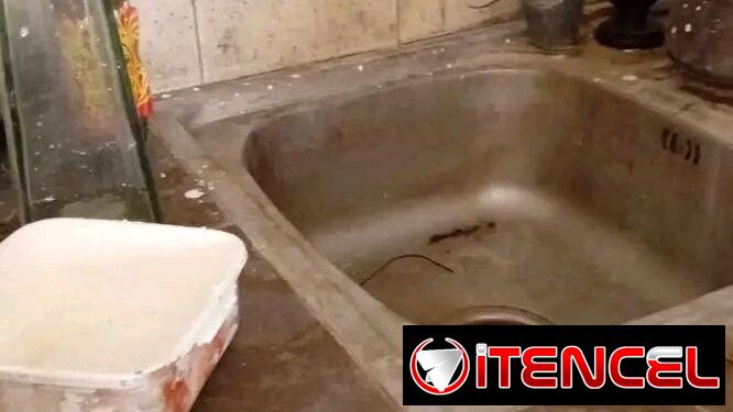 Servicio de limpieza