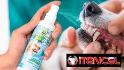 SPRAY DENTAL FANCY PETS