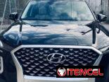 Vendo o negocio, Hyundai Palisade, 2021, Callygrafhy 4 × 4