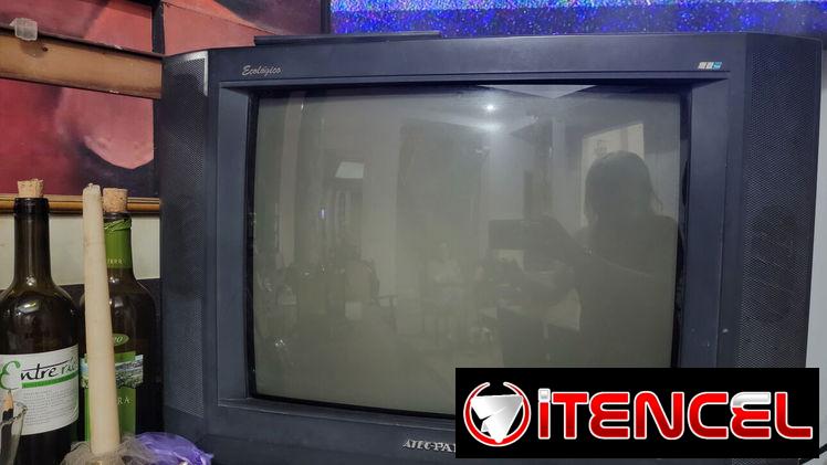 Televisor panda