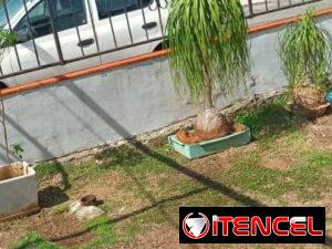cd190f7664faf115a04663cb955d32051356546ebe9c10e9c084a344c991c0ee