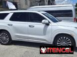 Vendo o negocio, Hyundai palisade 2024, calligraphy