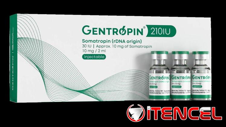 Gentropin – Hormona de Crecimiento