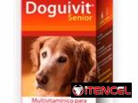Complejo vitamínico para perros Doguvit