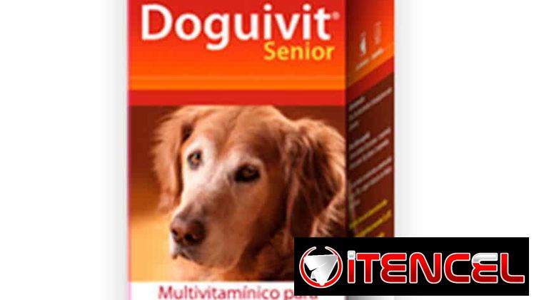 Complejo vitamínico para perros Doguvit