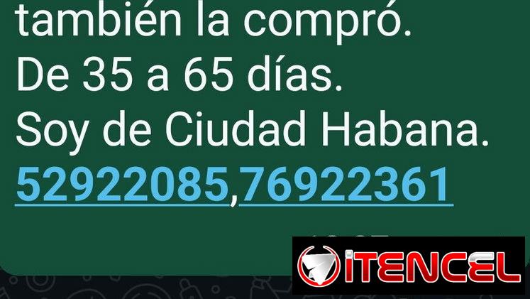 COMPRO PEQUINÉS,de 10000 a 12000,de 35 a 60 días(la camada completa también)Y LOS BUSCO,soy d Cuidad Habana.