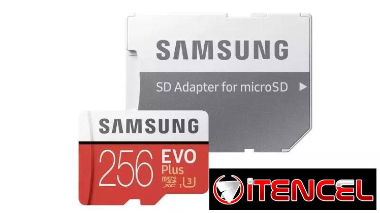Memorias Flash – Discos Duros – USB – Tarjetas Micro SD (Kinetica)