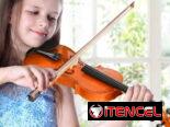 Violín