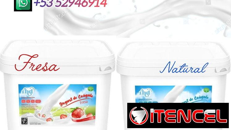 Yogurt probiótico