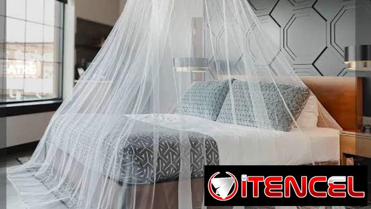 Mosquitero Grande (Mo)