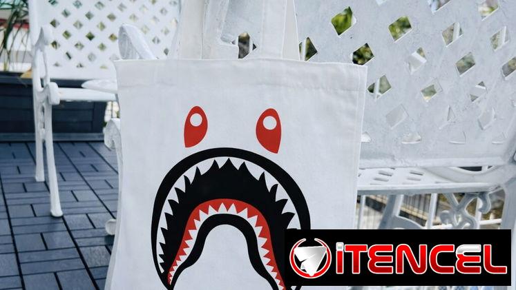 Bolsas BAPE