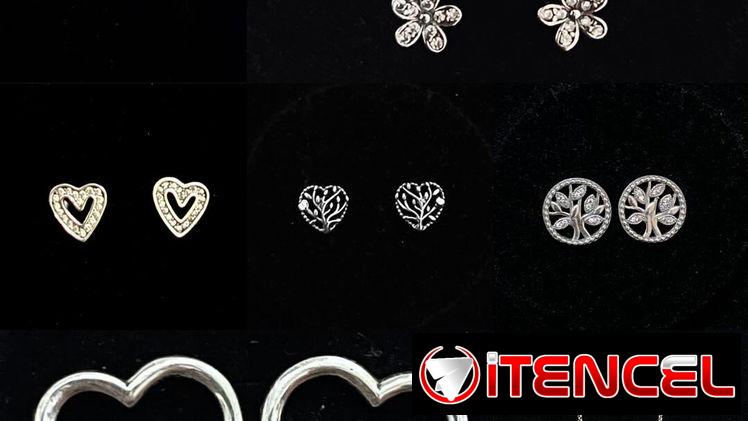 Aretes y Argollas Pandora