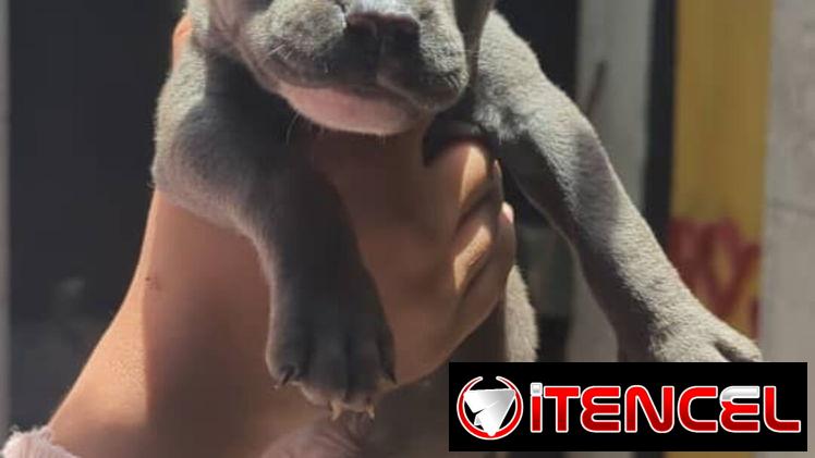 Si buscas calidad y compañía no dudes en llamar al 53818081