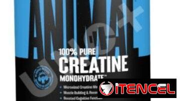 Creatinas