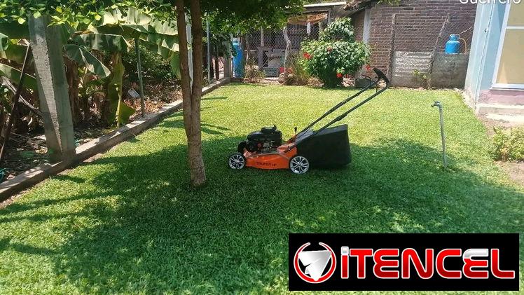 Servicios de Jardinería y Limpieza de exteriores