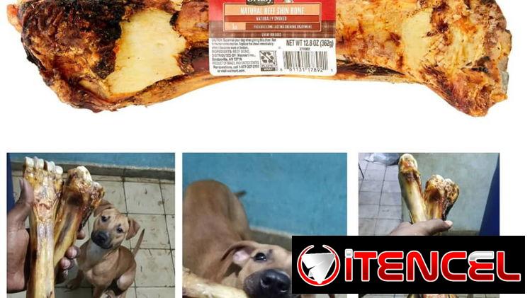 *CARNAZAS EXTRA GRANDES  (Fotos reales de clientes)*