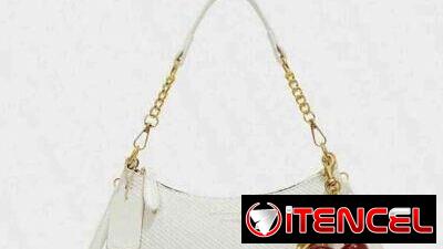 ⚜️CARTERAS EN TENDENCIA