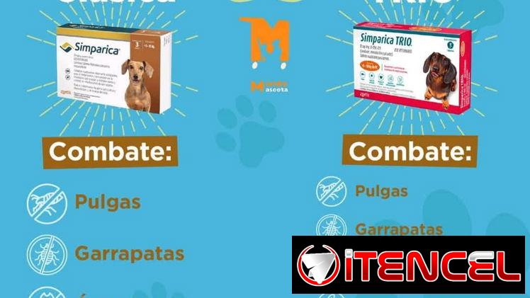 Simpárica Trío todos los pesos