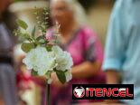 Decoración de bodas