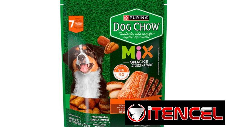 Premio para perros