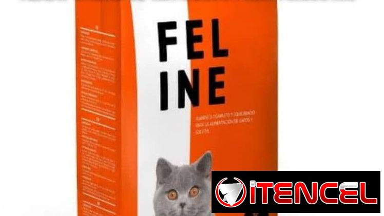 Pienso para gatos Feline