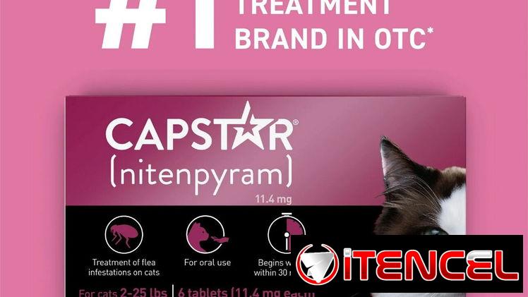 CAPSTAR PARA GATOS [ ELIMINA PULGAS 30 minutos]