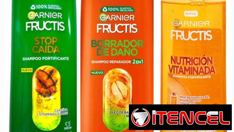 Champu garnier 2 en 1 formato 650 ml original