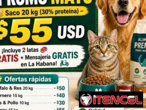 d298f9eecea5f2305b125d2316e2fc9b4125a6ef7cd9abdcc4bacdea97267f9c