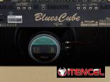 ¡Oferta única! Roland Blues Cube Artist – Amplificador de guitarra