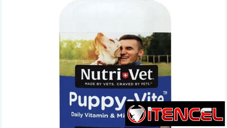 Multivitaminas para cachorros