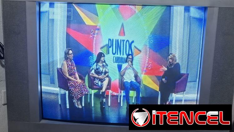 TV ATEC-HAIER de 29″