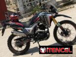 Ava deer 250