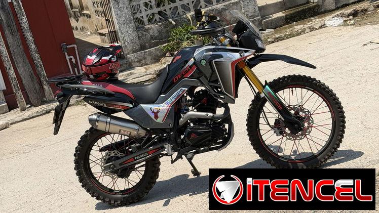 Ava deer 250