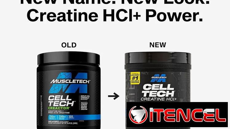 Creatina MuscleTech 120 servicios