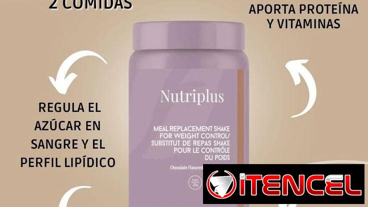 Batido de proteínas/Sustituto de comida