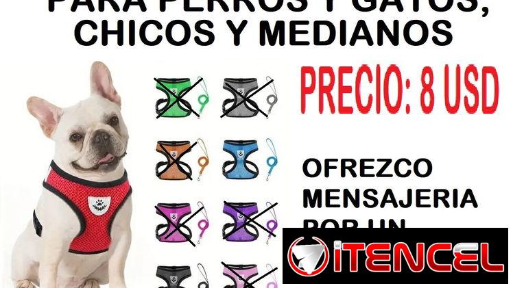 ARNÉS CON SU CORREA PARA PERROS Y GATOS. TENEMOS MENSAJERIA POR UN COSTO ADICIONAL