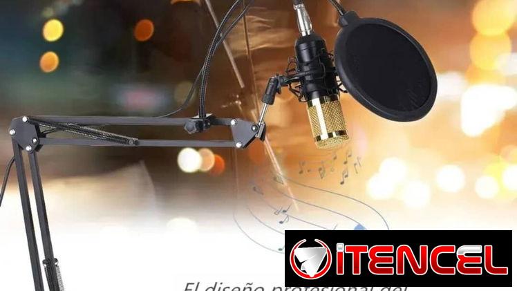 Micrófono profesional