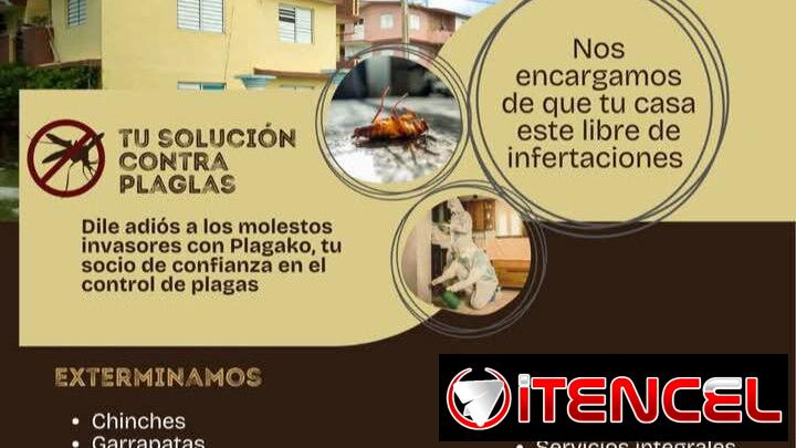 Fumigator Eliminamos Todo PlagaKØ