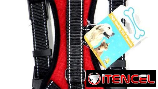 PECHERAS PARA PERROS 🐕 DOG&CAT 💯