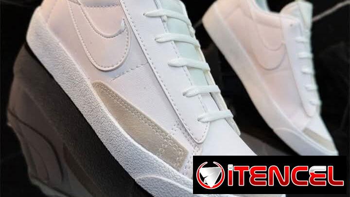 Tenis Nike