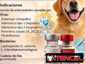 d5b1f4068f218919f899fb77a83d38e555b937713d3a5a3abb5cb4a3654495e6
