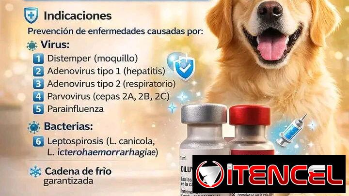 Veterinario a domicilio