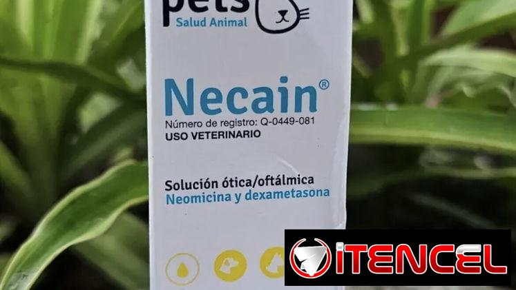 medicamento para los ojos y los oídos de los perros