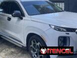 Hyunday Palisade caligraphe 2021