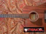 Guitarra Electroacústica Ibanez AW54LCE Open Pore “ZURDA”