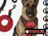 Correas con pecheras Reforzadas