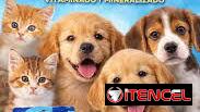d69d18298431cd35a77808046be73efc478f510dca1121db1ad72e20b5a52367